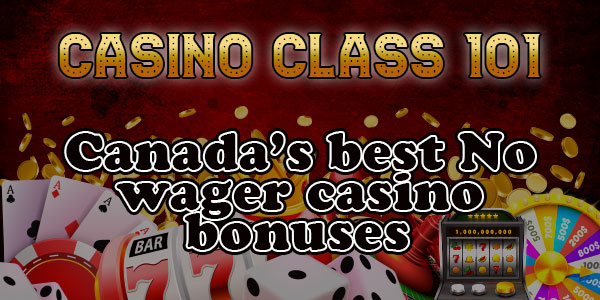 Casino class 101: Canada’s best No wager casino bonuses 